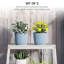 Pot Planter-600870897-600870902
