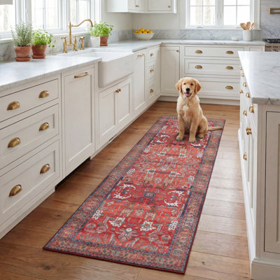 Tapis oriental performance Danna Tucson