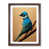 Walnut Framed selected