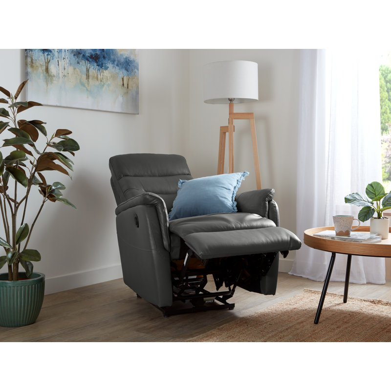Ellexus 77cm Wide Standard Recliner