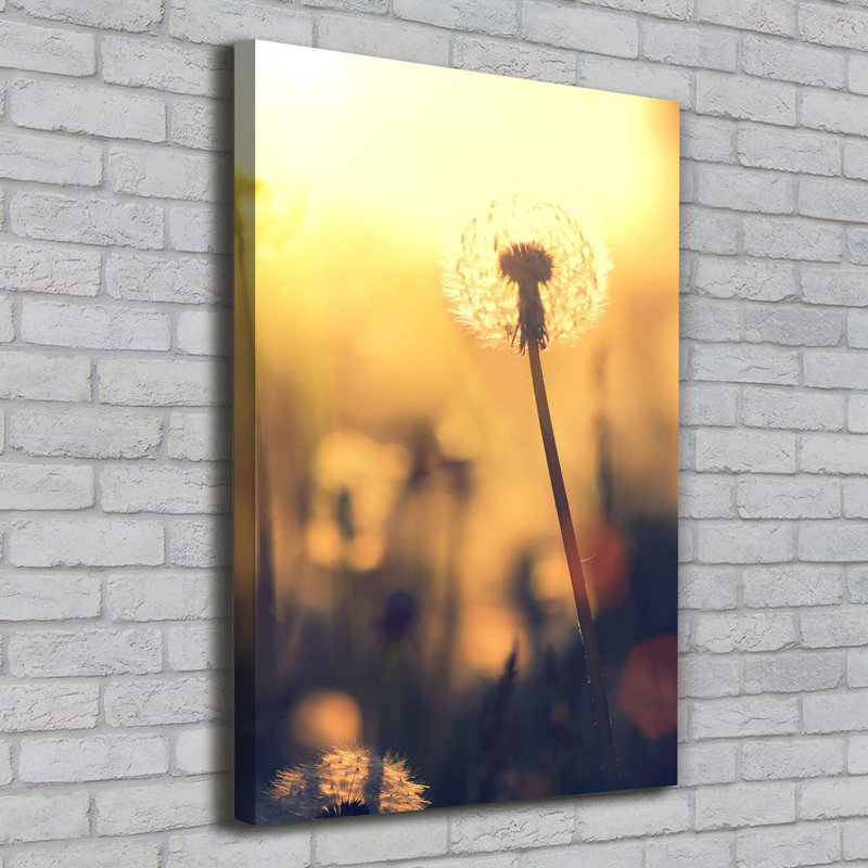 Dandelion - Wrapped Canvas Print