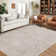 Braided Printed Texture Machine Washable Rug with Rubber Backing for Living Room Non-Slip Dining Room Rug Easy-Cleaning Floor Carpet for Bedroom