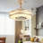 Anniah Ceiling Fan with LED Lights
