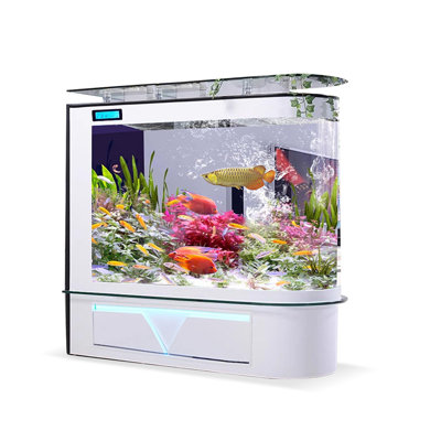 Aquarium 95-104 gallons