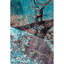 Aryana Wool Area Rug