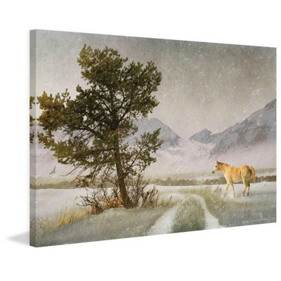 « orne cheval » par chris ", reproduction d’art sur toile tendue