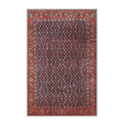 Oriental Indoor Rug