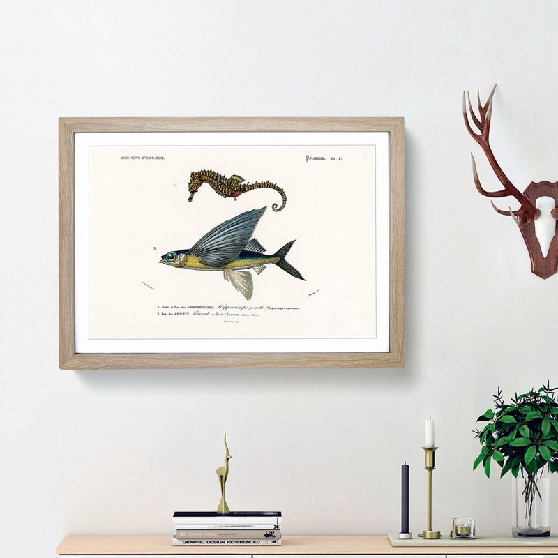Seahorse & Flying Fish by Charles d' Orbigny - Picture Frame Painting Print, 48cm H x 65cm W x 2cm D, Oak Framed