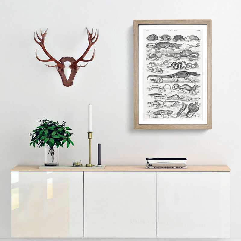 Study of Reptiles by Oliver Goldsmith - Framed Print, 65cm H x 48cm W x 2cm D, Oak Framed