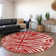 Premium Machine Washable Kian AMF1042 Animal Print Rug