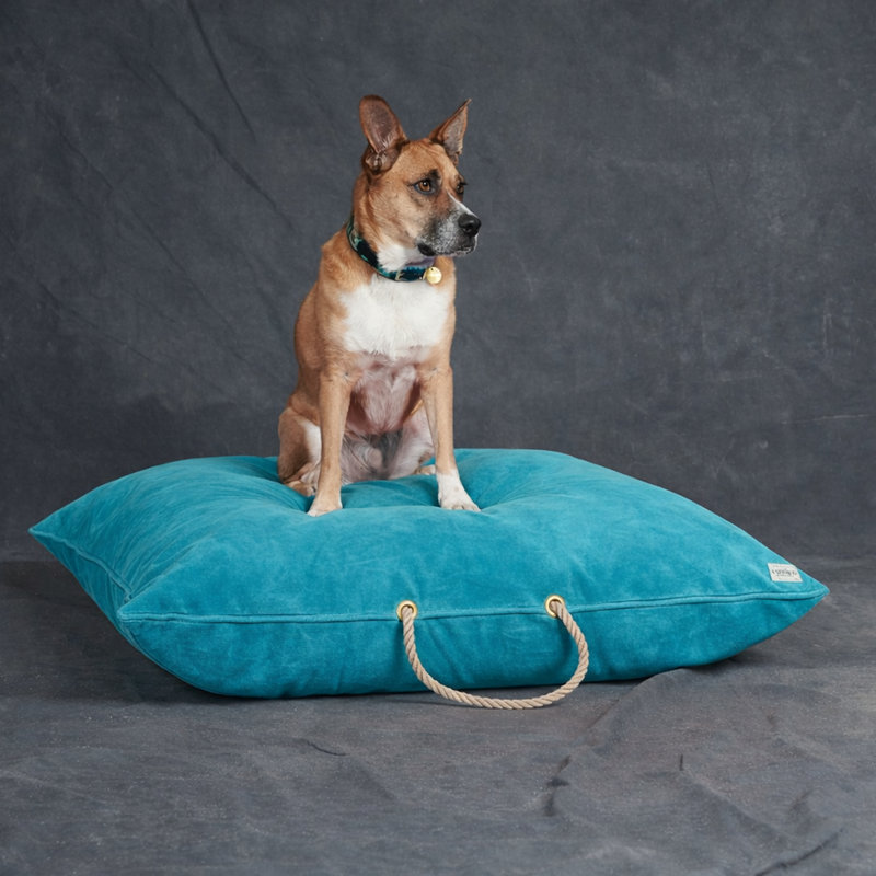  Lit pour chien, velours turquoise - moyen, L 30 po x l 30 po, Turquoise