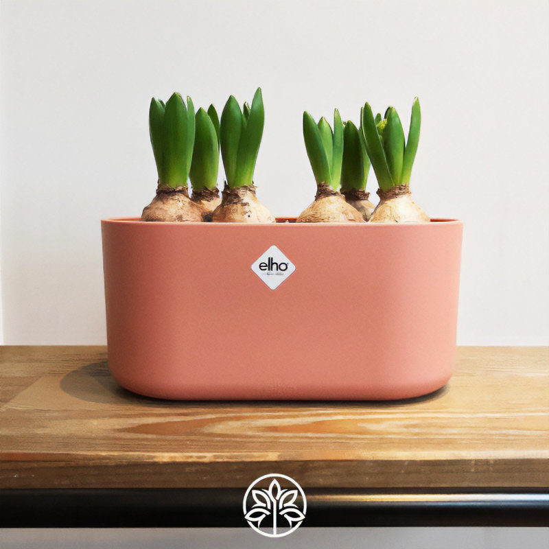Pot Planter