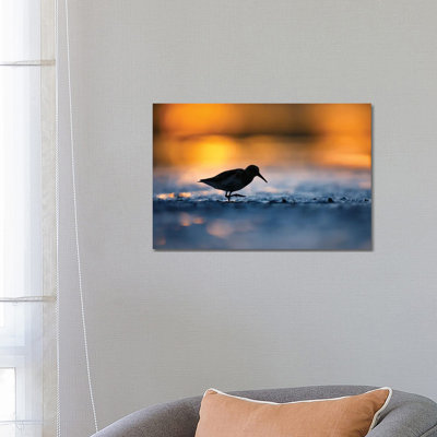 At Sunset 1 Piece Wrapped Canvas Wall Art
