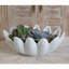 Gingerleaf Bowl