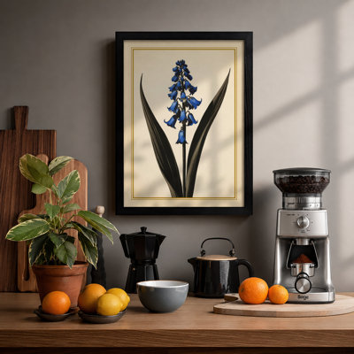 Blue Flower Study Botanical - Framed Print