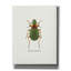 «Beetle Green» par GraphINC, estampe numérique sur toile-1927604495