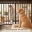 Meuble pour chien-1212230141-1212230142