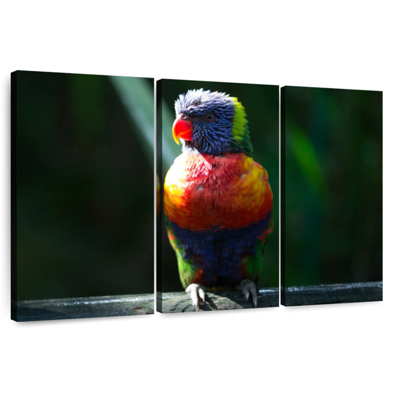 Brampt Sunlit Rainbow Lorikeet, 42" H x 65" W