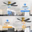 Ventilateur de plafond moderne à 5 pales 42 po Rita avec vitesse de vent réglable à 6 vitesses-1416253696