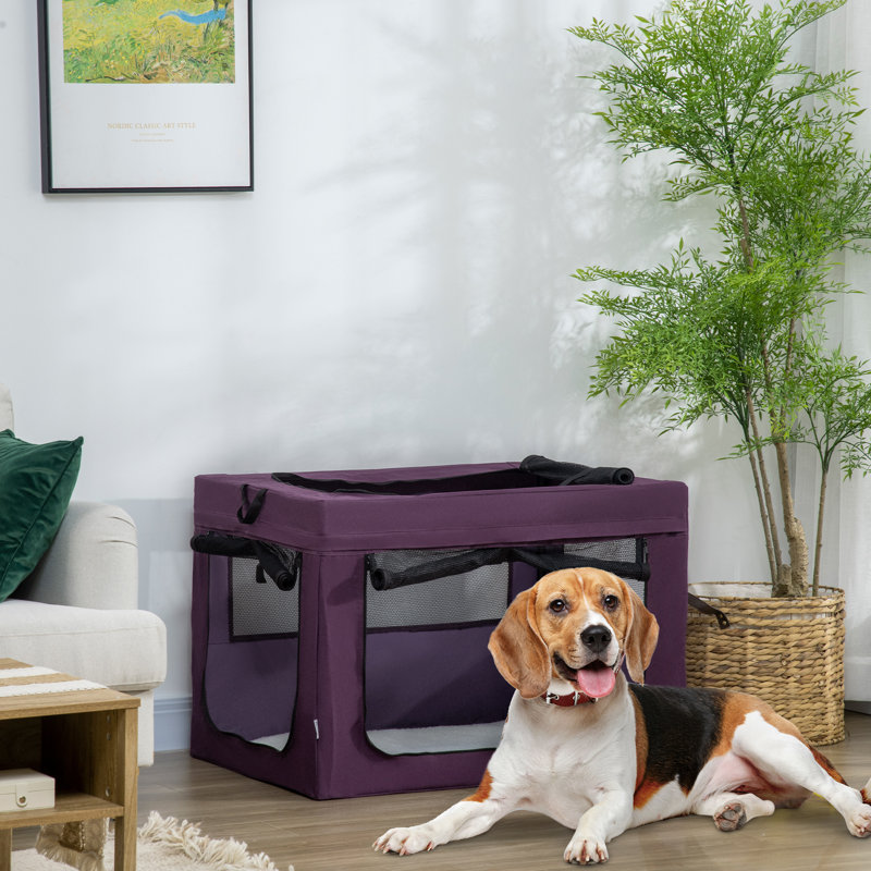 Pet Carrier with 1 Door, Purple