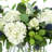 Hydrangea and Thistle Floral Arrangement in a Rectangular Glass Vase