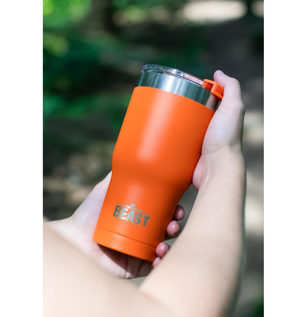 Dyzi 30.0