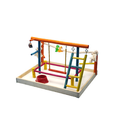One-of-a-Kind 10 in. Bird Play Gym for Table Top