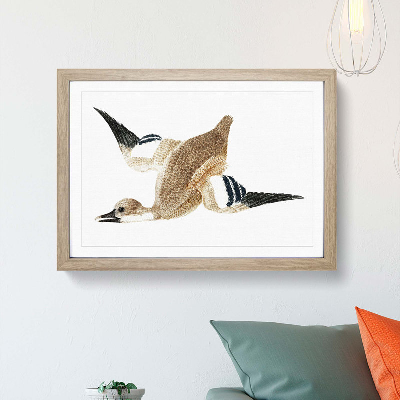 Flying Duck by Johan Teyler - Framed Print, 50cm H x 76cm W x 2cm D, Oak