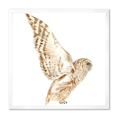 Portrait of a Barn Owl III - reproduction d'art sur toile traditionnelle