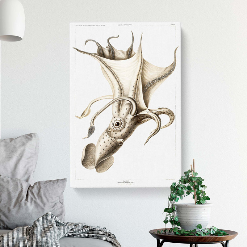 Cockeyed Squid by Carl Chun - Wrapped Canvas, 50cm H x 35cm W x 3cm D