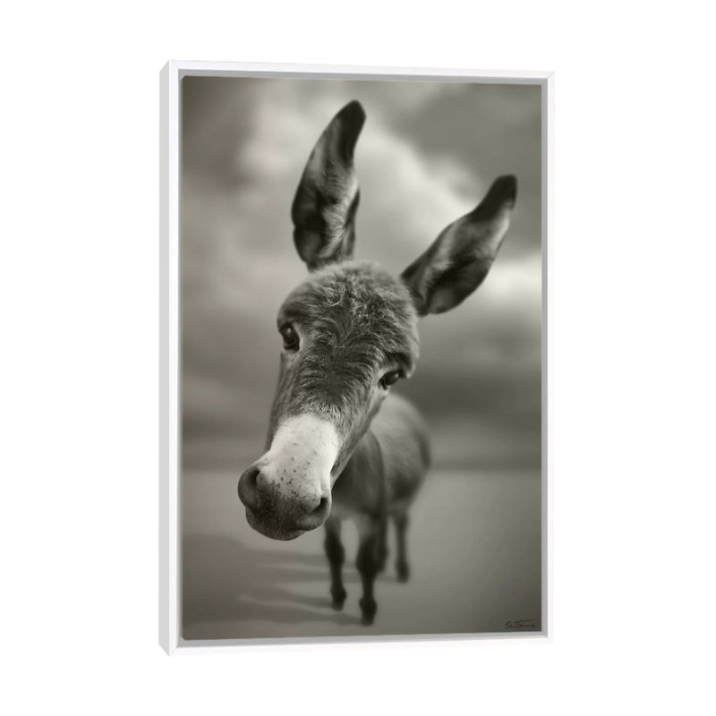 Hey There by Ben Heine - Print on Canvas, White Framed, 66.04 cm H x 45.72 cm W
