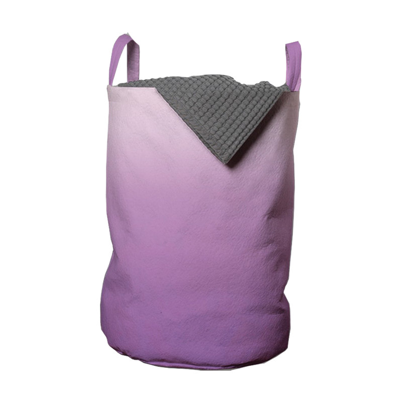 Ambesonne Fabric Laundry Bag with Handles