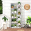 163cm H x 69cm W Bookcase-1888247318