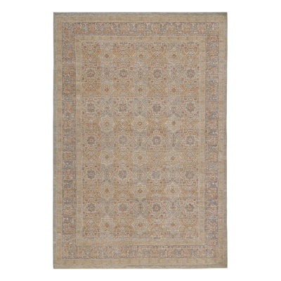 Hand Knotted Area Rug in Beige/Brow/Blue