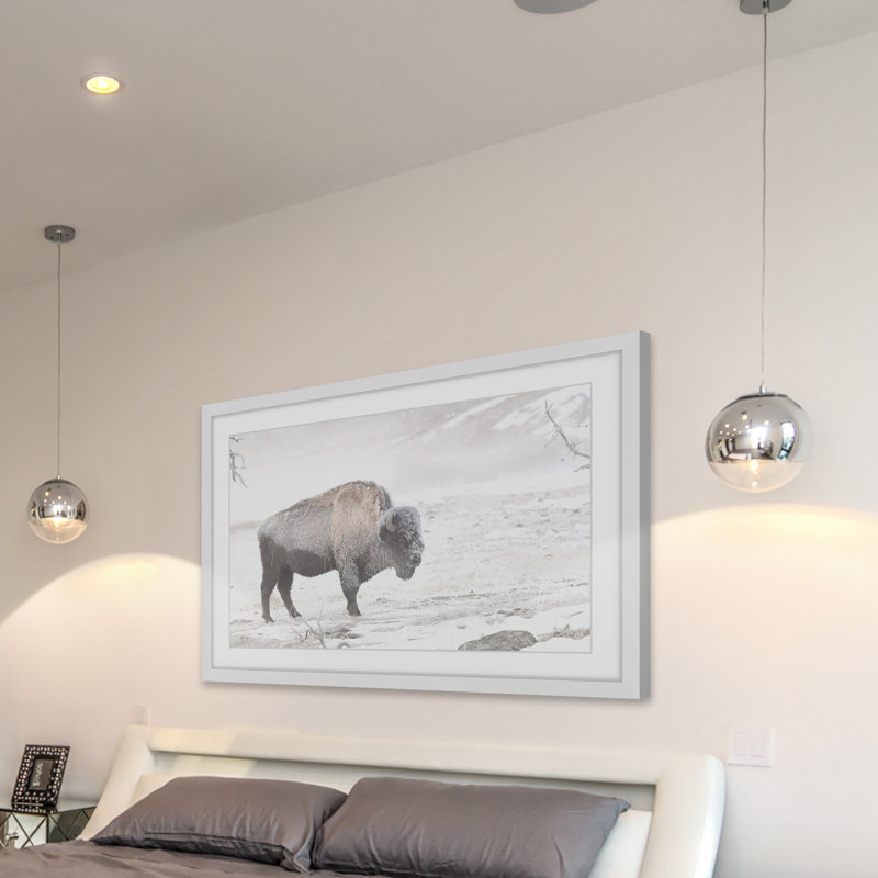 Parvez Taj - Single Picture Frame Print, 41cm H x 61cm W x 3.81cm D