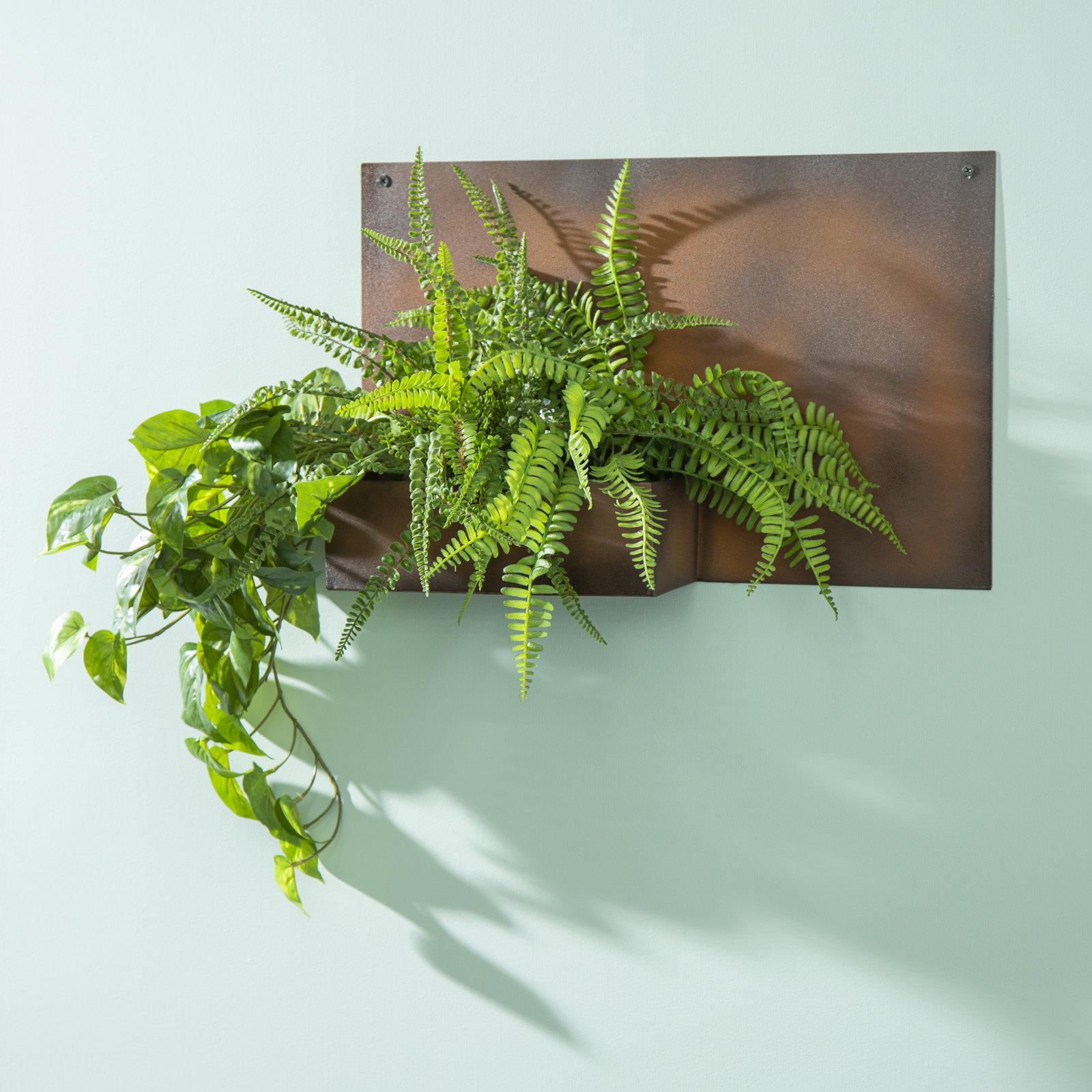 Kaiser 19" Wall Planter