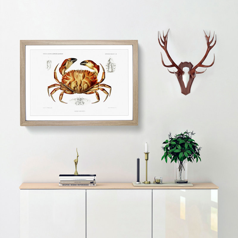 Crab by Albert I - Picture Frame Painting Print, 48cm H x 65cm W x 2cm D, Oak Framed