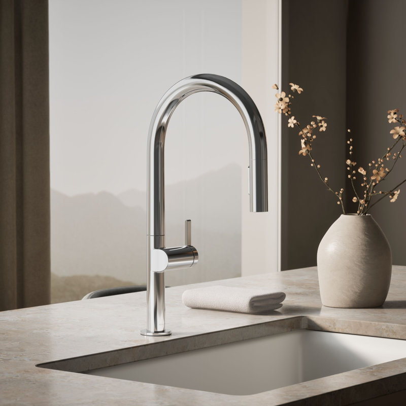 Composants : Robinet d'évier de cuisine avec douchette extractible avec pommeau de douche à deux fonctions, Chrome poli