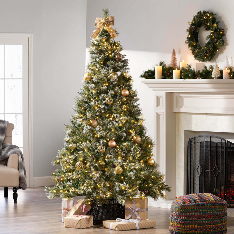 Arbres de noël