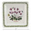Portmeirion Botanic Garden Square Plate 7"