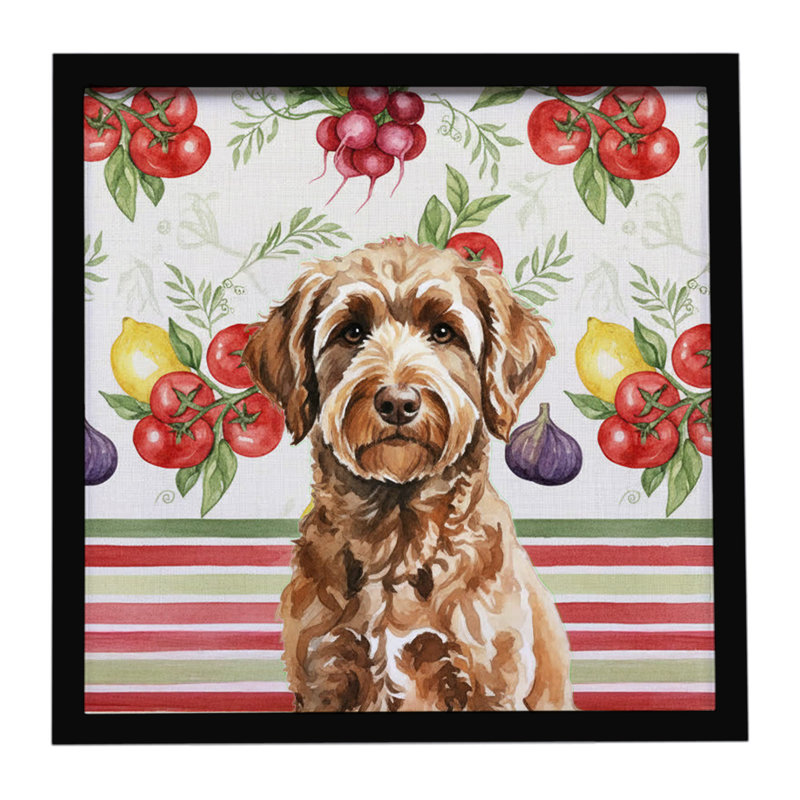 Chocolat, labradoodle, légumes, impression sur métal encadrée