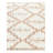 Iniguez Ivory Rug