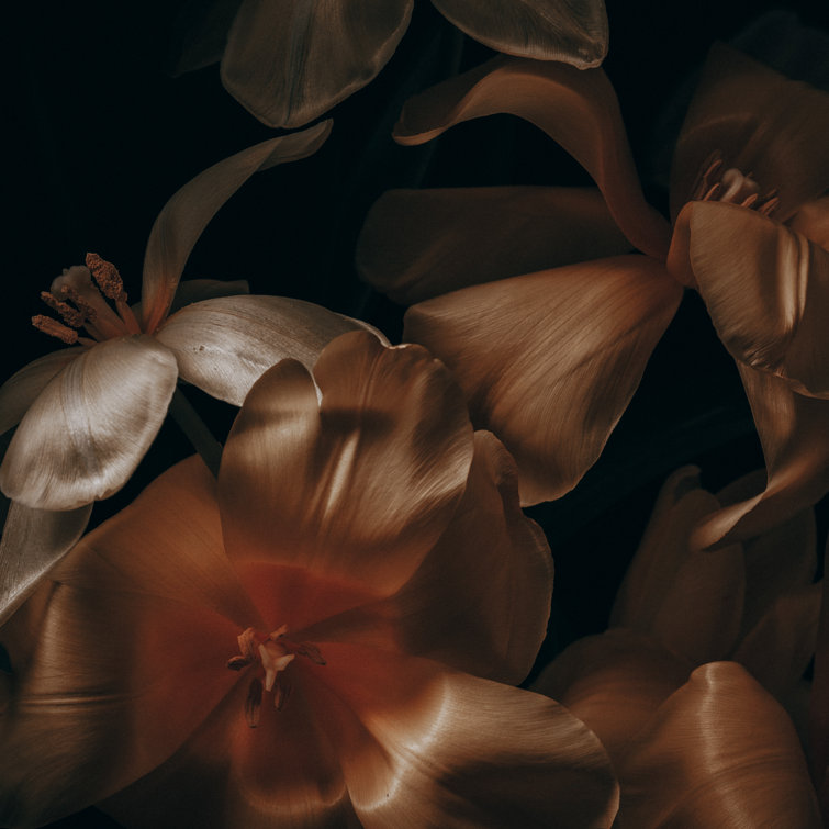 17 Stories Tulips by Jeja - Print | Wayfair.co.uk