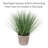 Elements Artificial Grass Plant