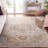 Hamilton Performance Oriental Rug-298821269