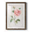 Grandiflora I - peinture encadrée-767280251-767280250