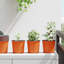 Nursery Pot-178463901-178463971