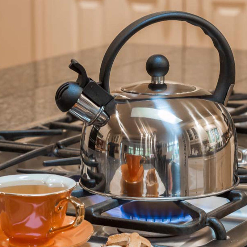 Primula 2.5 qt. Stainless Steel Whistling Stovetop Tea Kettle