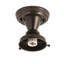 Mulkeytown 1 - Light Flush Mount