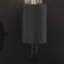 Joshawn Black Outdoor Flush Mount